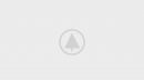wood-gallery-placeholder-4